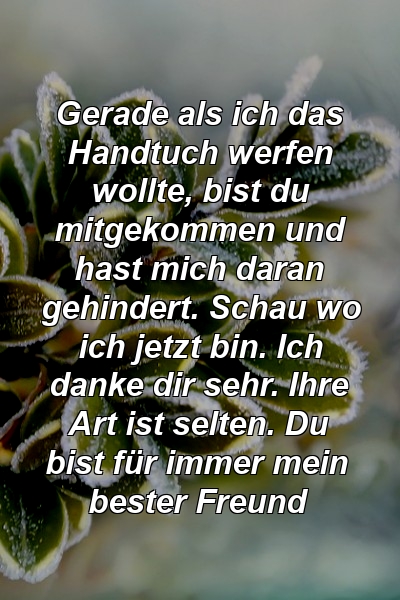 Gerade als ich das Handtuch werfen wollte, bist du mitgekommen und hast mich daran gehindert. Schau wo ich jetzt bin. Ich danke dir sehr. Ihre Art ist selten. Du bist für immer mein bester Freund