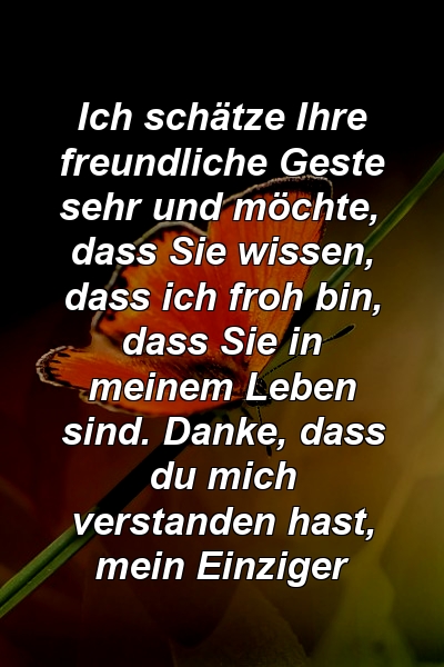 Ich schätze Ihre freundliche Geste sehr und möchte, dass Sie wissen, dass ich froh bin, dass Sie in meinem Leben sind. Danke, dass du mich verstanden hast, mein Einziger