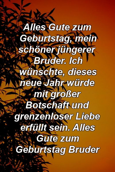 Alles Gute zum Geburtstag, mein schöner jüngerer Bruder. Ich wünschte, dieses neue Jahr würde mit großer Botschaft und grenzenloser Liebe erfüllt sein. Alles Gute zum Geburtstag Bruder