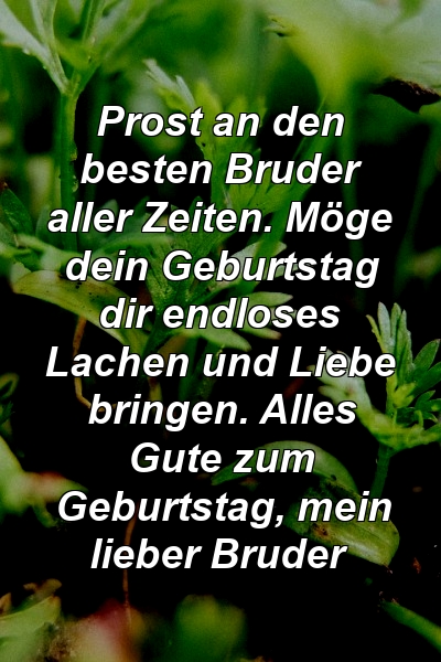 Prost an den besten Bruder aller Zeiten. Möge dein Geburtstag dir endloses Lachen und Liebe bringen. Alles Gute zum Geburtstag, mein lieber Bruder