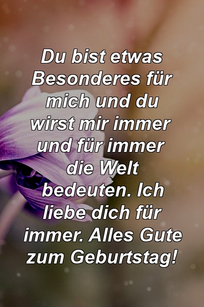 Du bist etwas Besonderes für mich und du wirst mir immer und für immer die Welt bedeuten. Ich liebe dich für immer. Alles Gute zum Geburtstag!