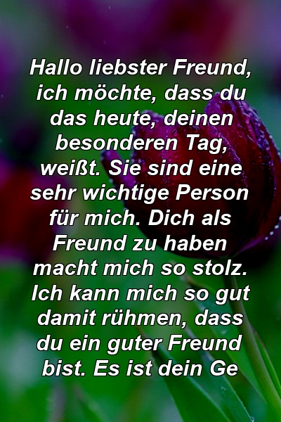 Hallo liebster Freund, ich möchte, dass du das heute, deinen besonderen Tag, weißt. Sie sind eine sehr wichtige Person für mich. Dich als Freund zu haben macht mich so stolz. Ich kann mich so gut damit rühmen, dass du ein guter Freund bist. Es ist dein Ge