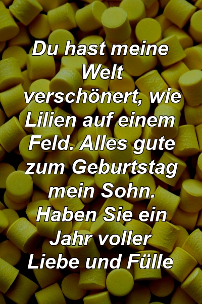 Du hast meine Welt verschönert, wie Lilien auf einem Feld. Alles gute zum Geburtstag mein Sohn. Haben Sie ein Jahr voller Liebe und Fülle