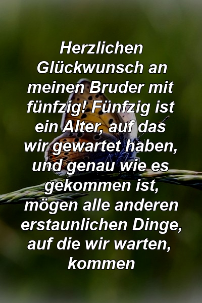 Herzlichen Glückwunsch an meinen Bruder mit fünfzig! Fünfzig ist ein Alter, auf das wir gewartet haben, und genau wie es gekommen ist, mögen alle anderen erstaunlichen Dinge, auf die wir warten, kommen