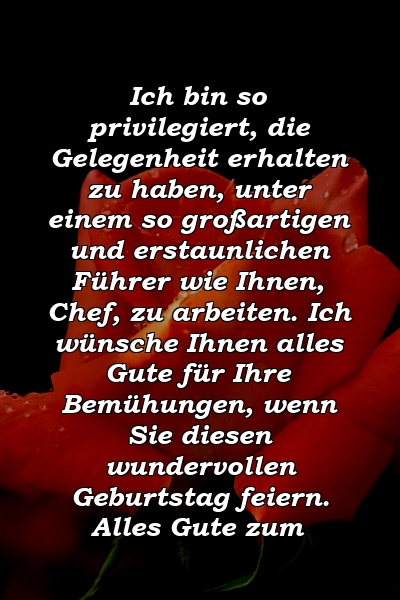 Ich bin so privilegiert, die Gelegenheit erhalten zu haben, unter einem so großartigen und erstaunlichen Führer wie Ihnen, Chef, zu arbeiten. Ich wünsche Ihnen alles Gute für Ihre Bemühungen, wenn Sie diesen wundervollen Geburtstag feiern. Alles Gute zum 