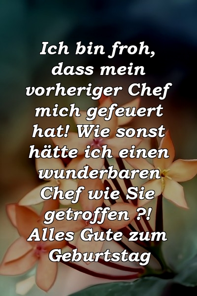 Ich bin froh, dass mein vorheriger Chef mich gefeuert hat! Wie sonst hätte ich einen wunderbaren Chef wie Sie getroffen ?! Alles Gute zum Geburtstag