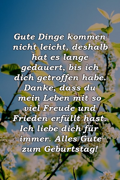 Gute Dinge kommen nicht leicht, deshalb hat es lange gedauert, bis ich dich getroffen habe. Danke, dass du mein Leben mit so viel Freude und Frieden erfüllt hast. Ich liebe dich für immer. Alles Gute zum Geburtstag!