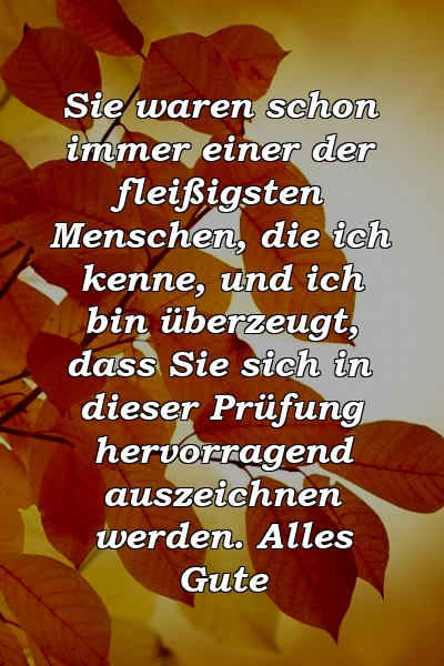 Sie waren schon immer einer der fleißigsten Menschen, die ich kenne, und ich bin überzeugt, dass Sie sich in dieser Prüfung hervorragend auszeichnen werden. Alles Gute