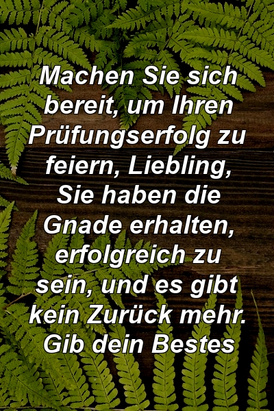 Machen Sie sich bereit, um Ihren Prüfungserfolg zu feiern, Liebling, Sie haben die Gnade erhalten, erfolgreich zu sein, und es gibt kein Zurück mehr. Gib dein Bestes