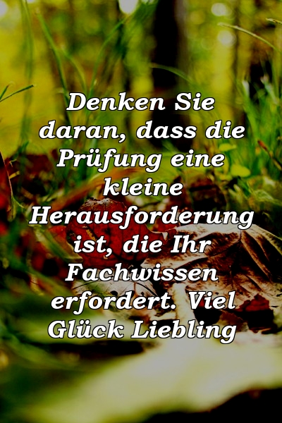 Denken Sie daran, dass die Prüfung eine kleine Herausforderung ist, die Ihr Fachwissen erfordert. Viel Glück Liebling