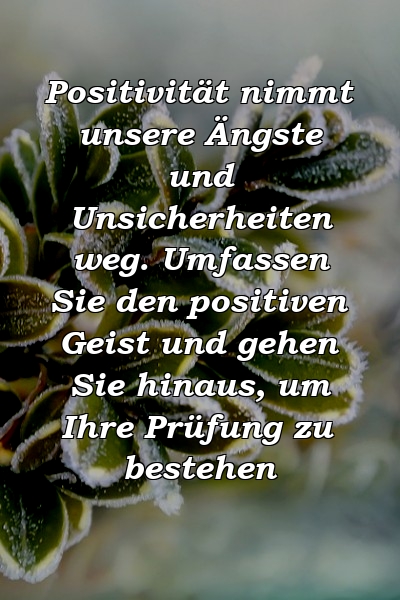 Positivität nimmt unsere Ängste und Unsicherheiten weg. Umfassen Sie den positiven Geist und gehen Sie hinaus, um Ihre Prüfung zu bestehen