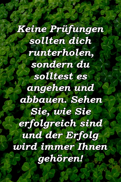 Keine Prüfungen sollten dich runterholen, sondern du solltest es angehen und abbauen. Sehen Sie, wie Sie erfolgreich sind und der Erfolg wird immer Ihnen gehören!