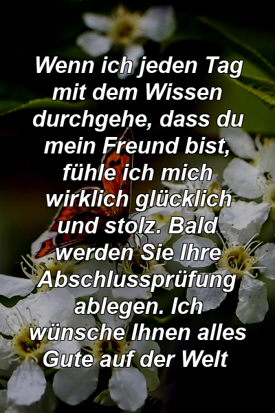 Wenn ich jeden Tag mit dem Wissen durchgehe, dass du mein Freund bist, fühle ich mich wirklich glücklich und stolz. Bald werden Sie Ihre Abschlussprüfung ablegen. Ich wünsche Ihnen alles Gute auf der Welt