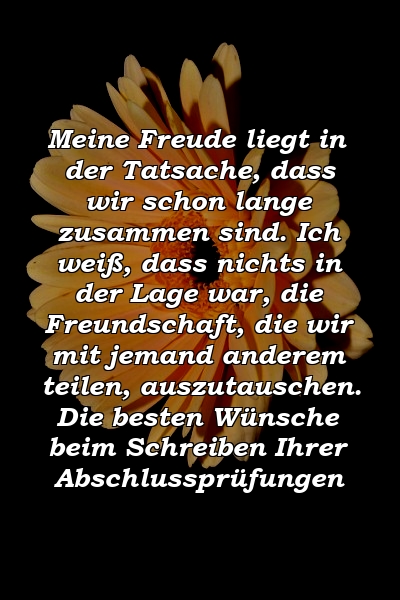 Meine Freude liegt in der Tatsache, dass wir schon lange zusammen sind. Ich weiß, dass nichts in der Lage war, die Freundschaft, die wir mit jemand anderem teilen, auszutauschen. Die besten Wünsche beim Schreiben Ihrer Abschlussprüfungen