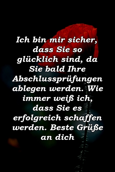 Ich bin mir sicher, dass Sie so glücklich sind, da Sie bald Ihre Abschlussprüfungen ablegen werden. Wie immer weiß ich, dass Sie es erfolgreich schaffen werden. Beste Grüße an dich