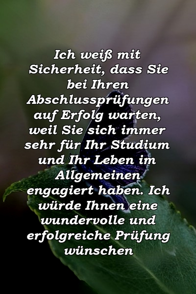 Ich weiß mit Sicherheit, dass Sie bei Ihren Abschlussprüfungen auf Erfolg warten, weil Sie sich immer sehr für Ihr Studium und Ihr Leben im Allgemeinen engagiert haben. Ich würde Ihnen eine wundervolle und erfolgreiche Prüfung wünschen