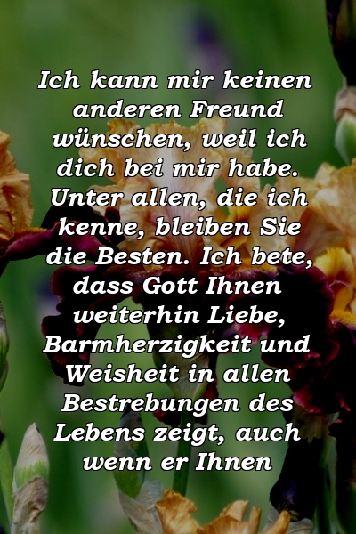 Ich kann mir keinen anderen Freund wünschen, weil ich dich bei mir habe. Unter allen, die ich kenne, bleiben Sie die Besten. Ich bete, dass Gott Ihnen weiterhin Liebe, Barmherzigkeit und Weisheit in allen Bestrebungen des Lebens zeigt, auch wenn er Ihnen 