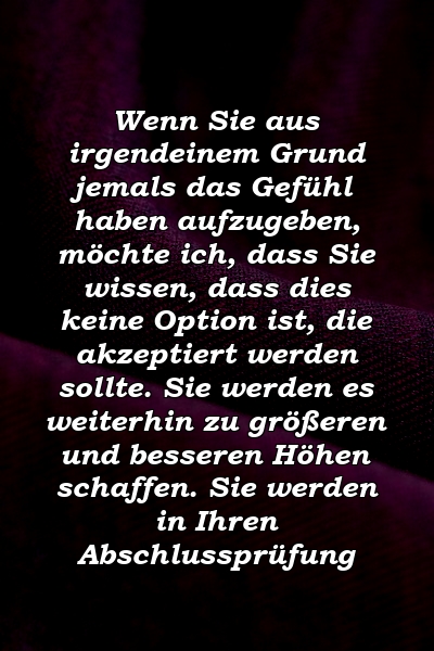 Wenn Sie aus irgendeinem Grund jemals das Gefühl haben aufzugeben, möchte ich, dass Sie wissen, dass dies keine Option ist, die akzeptiert werden sollte. Sie werden es weiterhin zu größeren und besseren Höhen schaffen. Sie werden in Ihren Abschlussprüfung