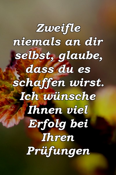 Zweifle niemals an dir selbst, glaube, dass du es schaffen wirst. Ich wünsche Ihnen viel Erfolg bei Ihren Prüfungen