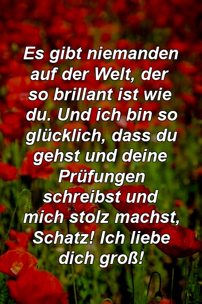 Es gibt niemanden auf der Welt, der so brillant ist wie du. Und ich bin so glücklich, dass du gehst und deine Prüfungen schreibst und mich stolz machst, Schatz! Ich liebe dich groß!