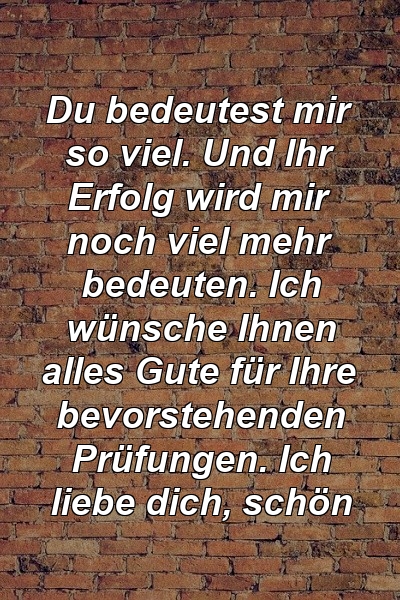 Du bedeutest mir so viel. Und Ihr Erfolg wird mir noch viel mehr bedeuten. Ich wünsche Ihnen alles Gute für Ihre bevorstehenden Prüfungen. Ich liebe dich, schön