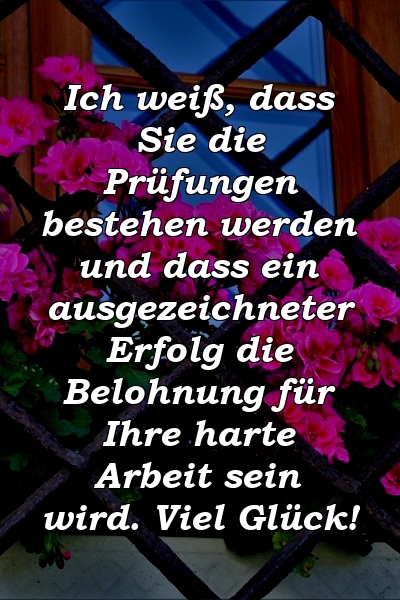 Ich weiß, dass Sie die Prüfungen bestehen werden und dass ein ausgezeichneter Erfolg die Belohnung für Ihre harte Arbeit sein wird. Viel Glück!