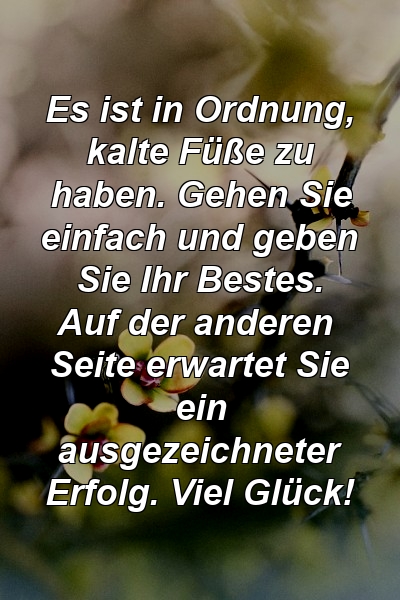 Es ist in Ordnung, kalte Füße zu haben. Gehen Sie einfach und geben Sie Ihr Bestes. Auf der anderen Seite erwartet Sie ein ausgezeichneter Erfolg. Viel Glück!