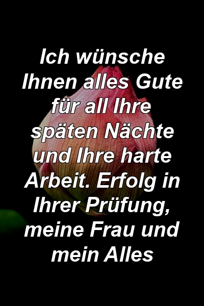 Ich wünsche Ihnen alles Gute für all Ihre späten Nächte und Ihre harte Arbeit. Erfolg in Ihrer Prüfung, meine Frau und mein Alles