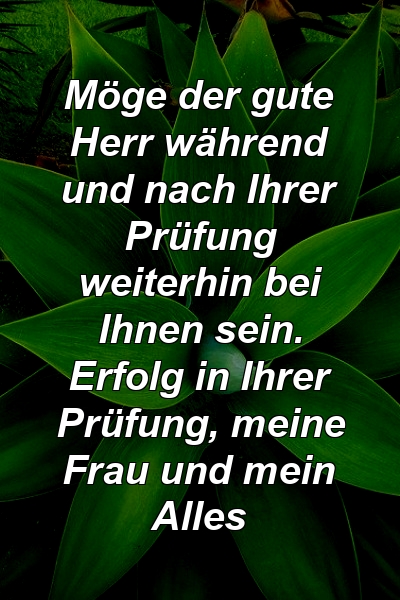 Möge der gute Herr während und nach Ihrer Prüfung weiterhin bei Ihnen sein. Erfolg in Ihrer Prüfung, meine Frau und mein Alles