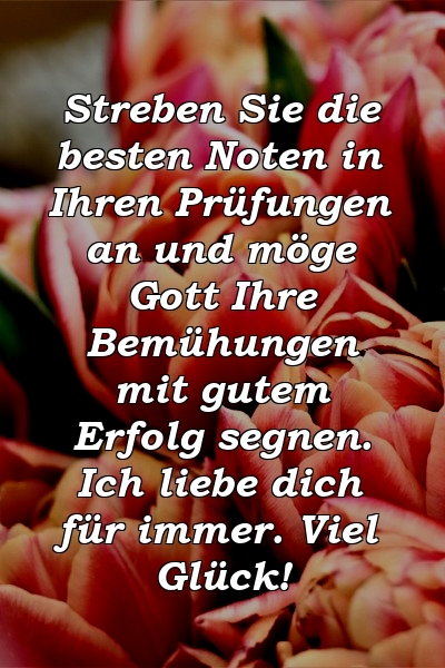 Streben Sie die besten Noten in Ihren Prüfungen an und möge Gott Ihre Bemühungen mit gutem Erfolg segnen. Ich liebe dich für immer. Viel Glück!