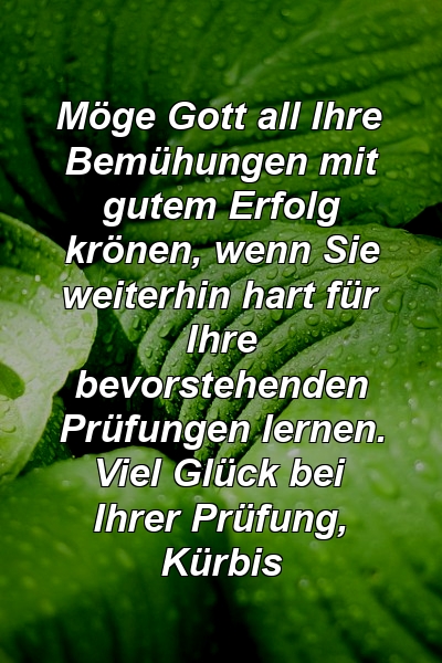 Möge Gott all Ihre Bemühungen mit gutem Erfolg krönen, wenn Sie weiterhin hart für Ihre bevorstehenden Prüfungen lernen. Viel Glück bei Ihrer Prüfung, Kürbis