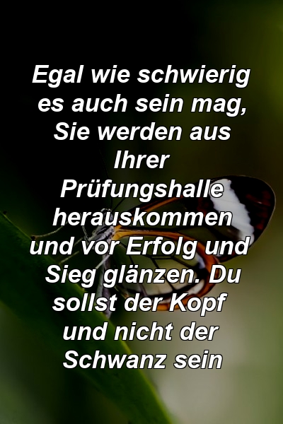 Egal wie schwierig es auch sein mag, Sie werden aus Ihrer Prüfungshalle herauskommen und vor Erfolg und Sieg glänzen. Du sollst der Kopf und nicht der Schwanz sein