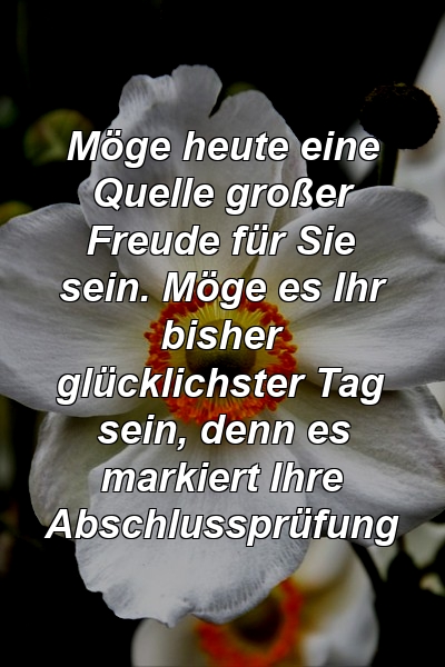 Möge heute eine Quelle großer Freude für Sie sein. Möge es Ihr bisher glücklichster Tag sein, denn es markiert Ihre Abschlussprüfung