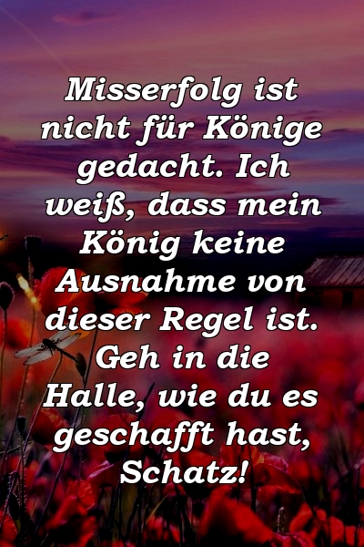 Misserfolg ist nicht für Könige gedacht. Ich weiß, dass mein König keine Ausnahme von dieser Regel ist. Geh in die Halle, wie du es geschafft hast, Schatz!