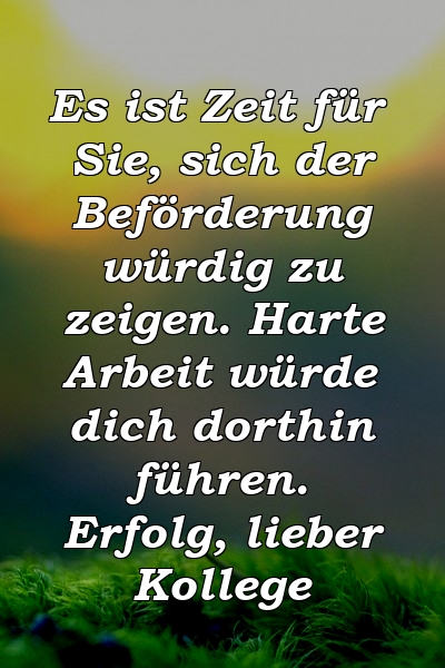 Es ist Zeit für Sie, sich der Beförderung würdig zu zeigen. Harte Arbeit würde dich dorthin führen. Erfolg, lieber Kollege