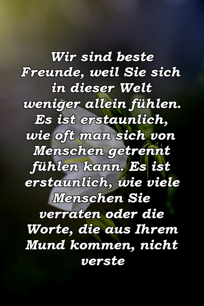 Wir sind beste Freunde, weil Sie sich in dieser Welt weniger allein fühlen. Es ist erstaunlich, wie oft man sich von Menschen getrennt fühlen kann. Es ist erstaunlich, wie viele Menschen Sie verraten oder die Worte, die aus Ihrem Mund kommen, nicht verste