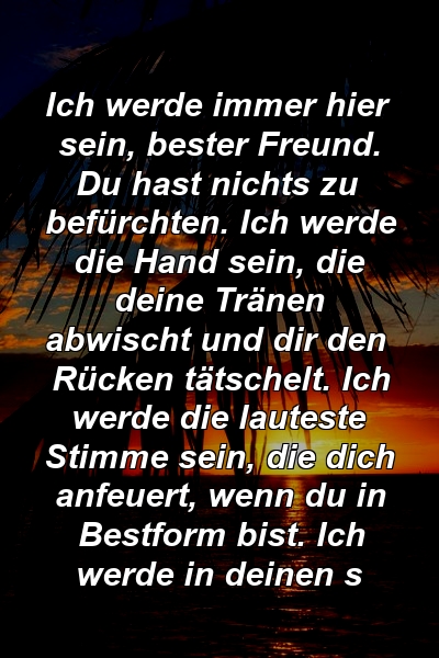 Ich werde immer hier sein, bester Freund. Du hast nichts zu befürchten. Ich werde die Hand sein, die deine Tränen abwischt und dir den Rücken tätschelt. Ich werde die lauteste Stimme sein, die dich anfeuert, wenn du in Bestform bist. Ich werde in deinen s