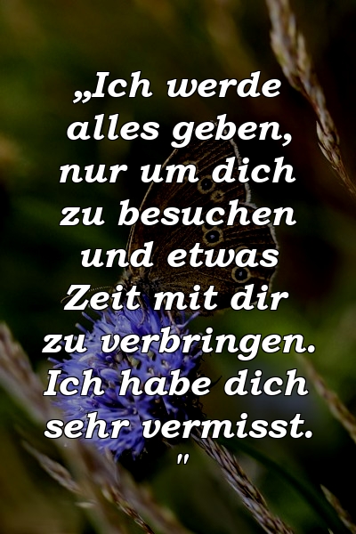 „Ich werde alles geben, nur um dich zu besuchen und etwas Zeit mit dir zu verbringen. Ich habe dich sehr vermisst. "