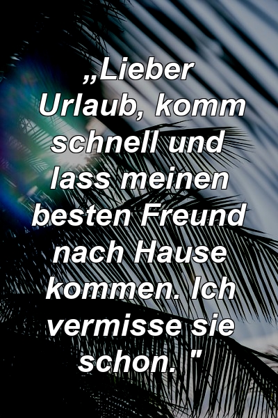 „Lieber Urlaub, komm schnell und lass meinen besten Freund nach Hause kommen. Ich vermisse sie schon. "