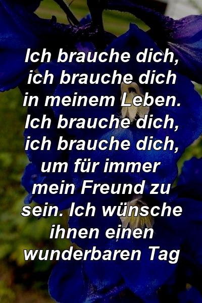 Ich brauche dich, ich brauche dich in meinem Leben. Ich brauche dich, ich brauche dich, um für immer mein Freund zu sein. Ich wünsche ihnen einen wunderbaren Tag