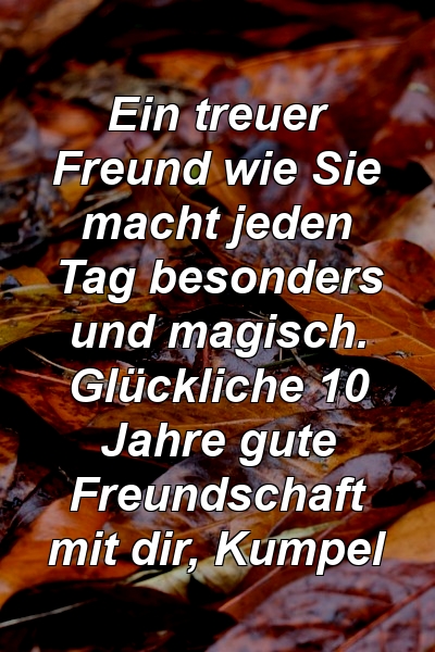 Ein treuer Freund wie Sie macht jeden Tag besonders und magisch. Glückliche 10 Jahre gute Freundschaft mit dir, Kumpel