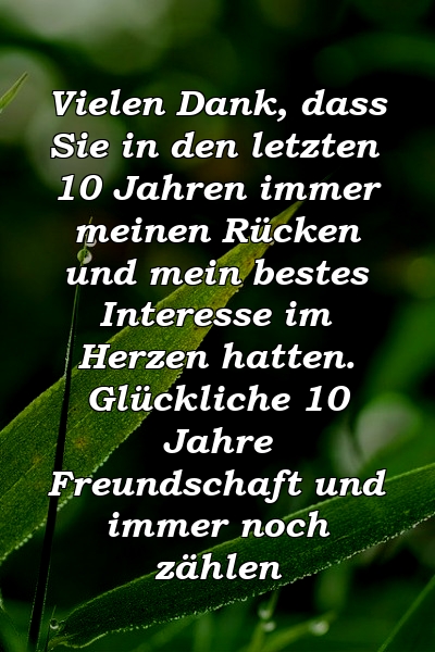 Vielen Dank, dass Sie in den letzten 10 Jahren immer meinen Rücken und mein bestes Interesse im Herzen hatten. Glückliche 10 Jahre Freundschaft und immer noch zählen