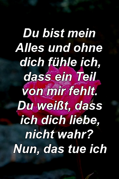 Du bist mein Alles und ohne dich fühle ich, dass ein Teil von mir fehlt. Du weißt, dass ich dich liebe, nicht wahr? Nun, das tue ich