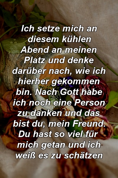 Ich setze mich an diesem kühlen Abend an meinen Platz und denke darüber nach, wie ich hierher gekommen bin. Nach Gott habe ich noch eine Person zu danken und das bist du, mein Freund. Du hast so viel für mich getan und ich weiß es zu schätzen