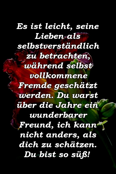 Es ist leicht, seine Lieben als selbstverständlich zu betrachten, während selbst vollkommene Fremde geschätzt werden. Du warst über die Jahre ein wunderbarer Freund, ich kann nicht anders, als dich zu schätzen. Du bist so süß!