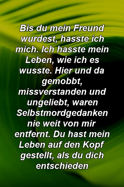 Bis du mein Freund wurdest, hasste ich mich. Ich hasste mein Leben, wie ich es wusste. Hier und da gemobbt, missverstanden und ungeliebt, waren Selbstmordgedanken nie weit von mir entfernt. Du hast mein Leben auf den Kopf gestellt, als du dich entschieden