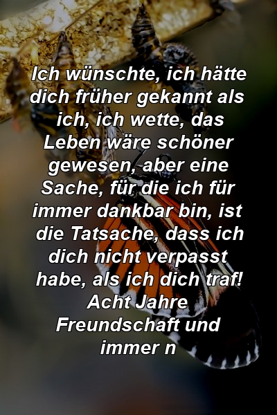 Ich wünschte, ich hätte dich früher gekannt als ich, ich wette, das Leben wäre schöner gewesen, aber eine Sache, für die ich für immer dankbar bin, ist die Tatsache, dass ich dich nicht verpasst habe, als ich dich traf! Acht Jahre Freundschaft und immer n