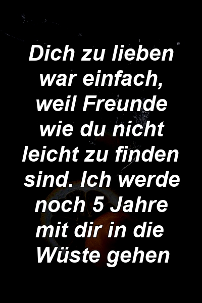 Dich zu lieben war einfach, weil Freunde wie du nicht leicht zu finden sind. Ich werde noch 5 Jahre mit dir in die Wüste gehen