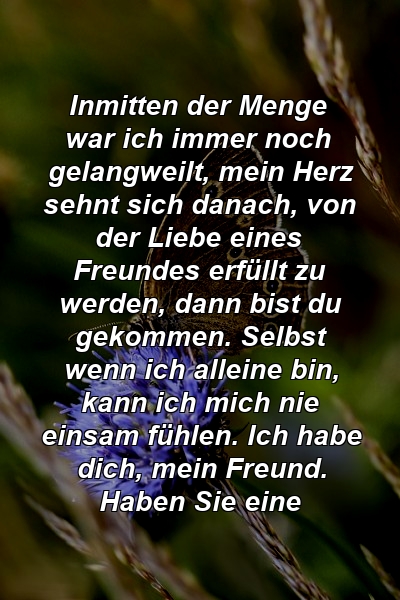 Inmitten der Menge war ich immer noch gelangweilt, mein Herz sehnt sich danach, von der Liebe eines Freundes erfüllt zu werden, dann bist du gekommen. Selbst wenn ich alleine bin, kann ich mich nie einsam fühlen. Ich habe dich, mein Freund. Haben Sie eine