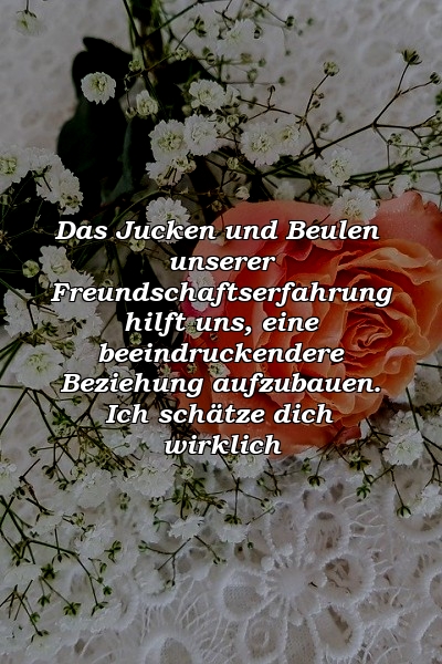 Das Jucken und Beulen unserer Freundschaftserfahrung hilft uns, eine beeindruckendere Beziehung aufzubauen. Ich schätze dich wirklich